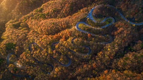 紅葉盛りのいろは坂 thumbnail