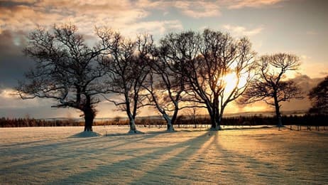 Tradition burns bright thumbnail