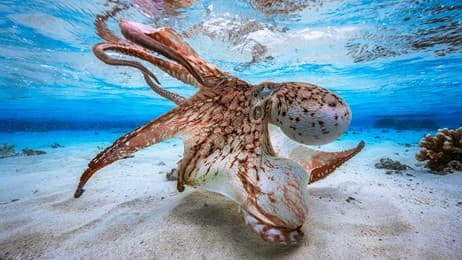 现在你“海”能看见我…… thumbnail