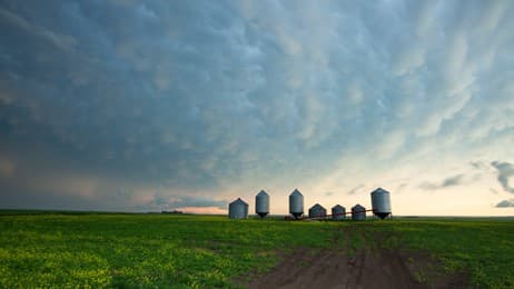 The breadbasket of Canada thumbnail