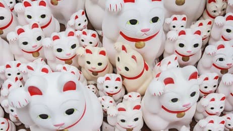 今日は招き猫の日 thumbnail