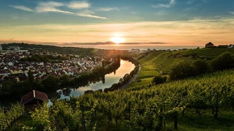 Rebhänge im Abendlicht thumbnail