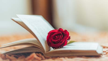 Historias que florecen thumbnail