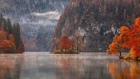 Rote Bäume, klarer See, in meinem Herbst, da sprießen Träume! thumbnail