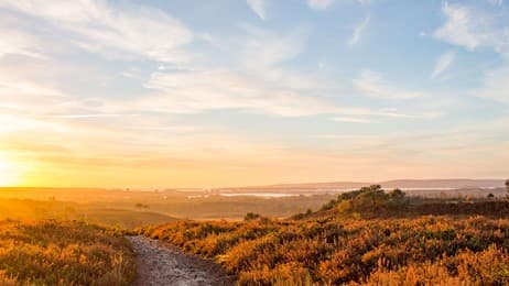 Moorland sunrise thumbnail