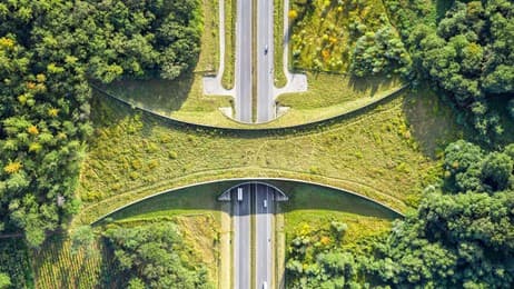 Tracé pour la nature thumbnail