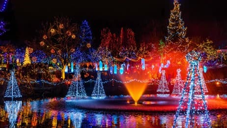 The luminous spirit of nature thumbnail