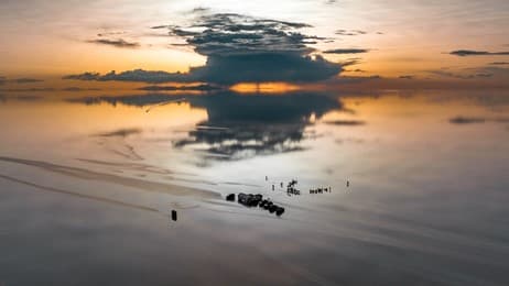 在盐沼与天空之间，万物静谧 thumbnail