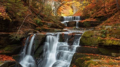 Nature's autumn soundtrack thumbnail