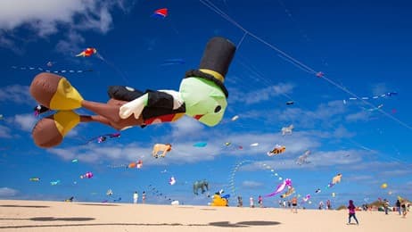 Dejando volar la imaginación thumbnail