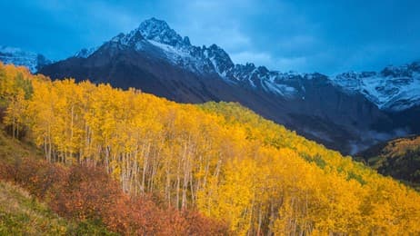 黄金に染まる山 thumbnail