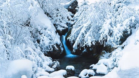 白色回响 thumbnail