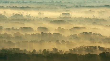 根系自由生长的地方 thumbnail