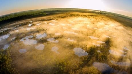 行动的力量 thumbnail