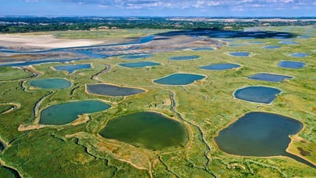 Une baie à l’écoute du monde sauvage thumbnail