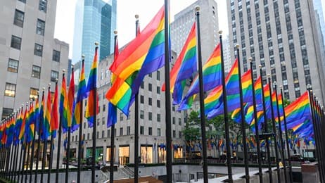 Pride in plain sight thumbnail