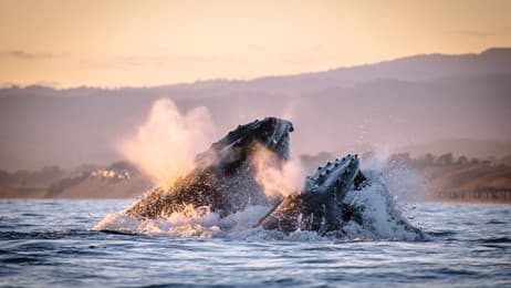 浪涛下的歌谣 thumbnail