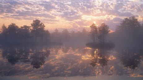 鏡のような湖に映る森の絶景 thumbnail