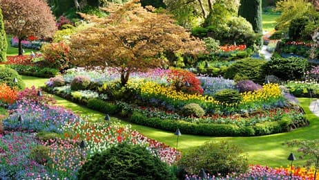 色とりどりの花が咲く庭園 thumbnail