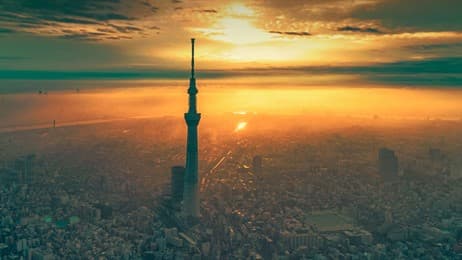 スカイツリー開業から 14 年 thumbnail