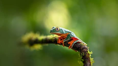 A splendid life thumbnail