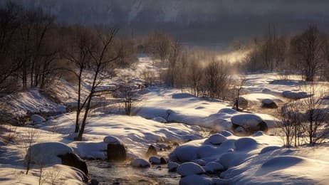 今日 は「大雪」 thumbnail