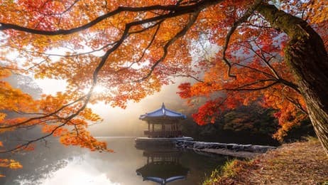 紅葉に彩られた東屋 thumbnail