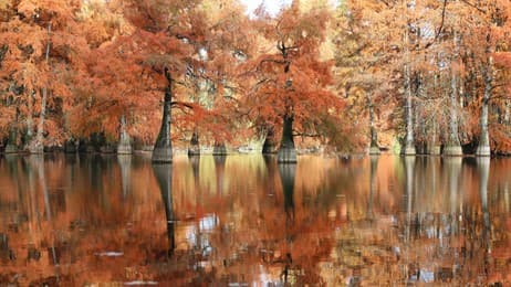 Reflets d’automne thumbnail