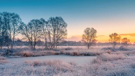 Eisige Schönheit thumbnail