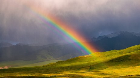 今日は米国の「虹を見つける日」 thumbnail