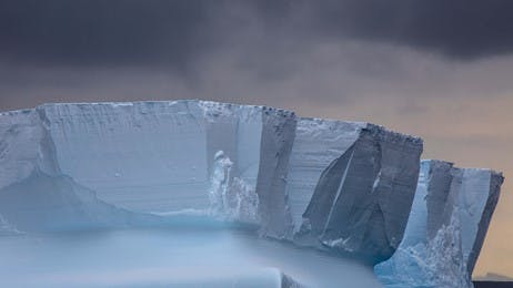 今日は南極の日 thumbnail