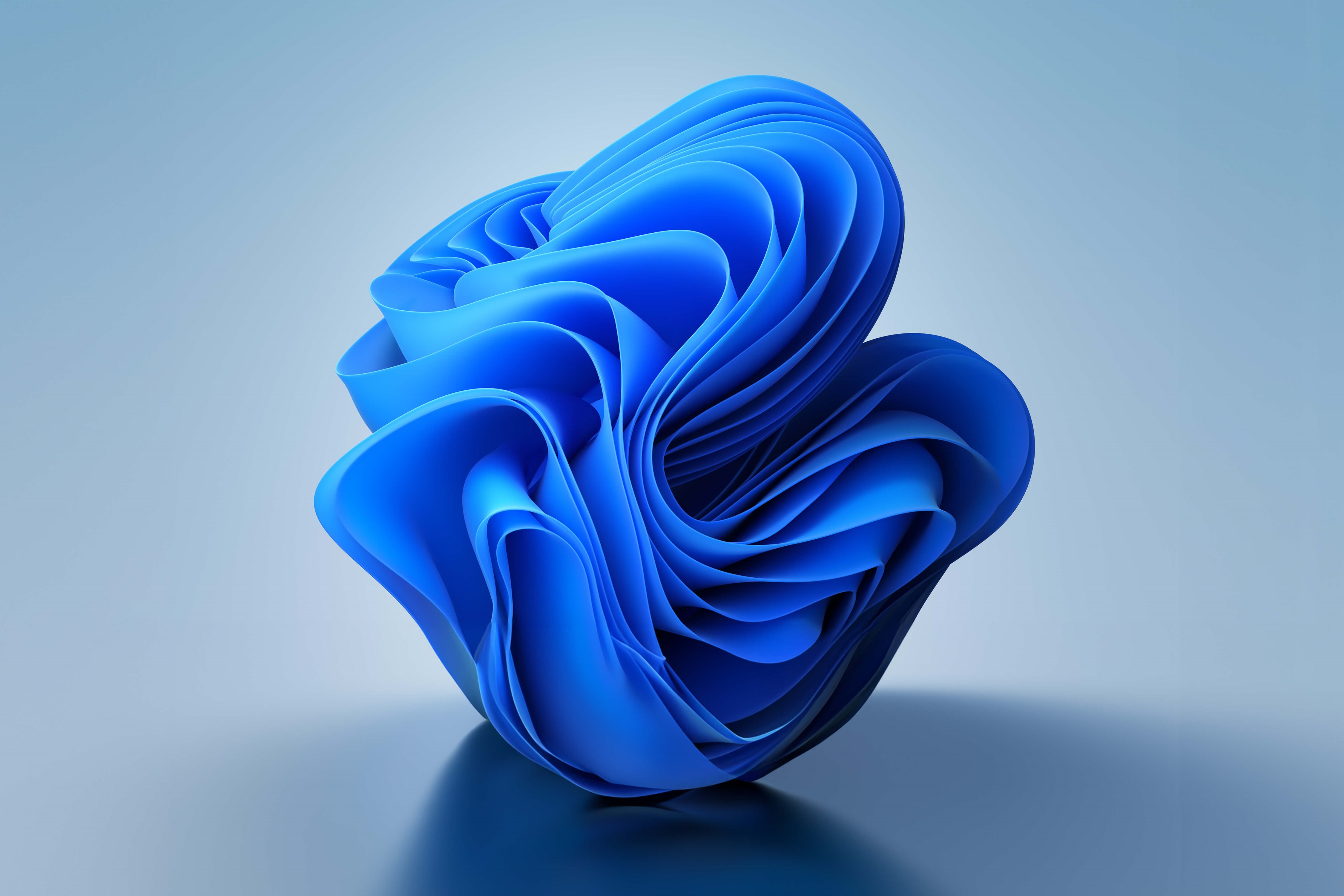 Generative Bloom by Michael Gillett | Wallpapers | WallpaperHub